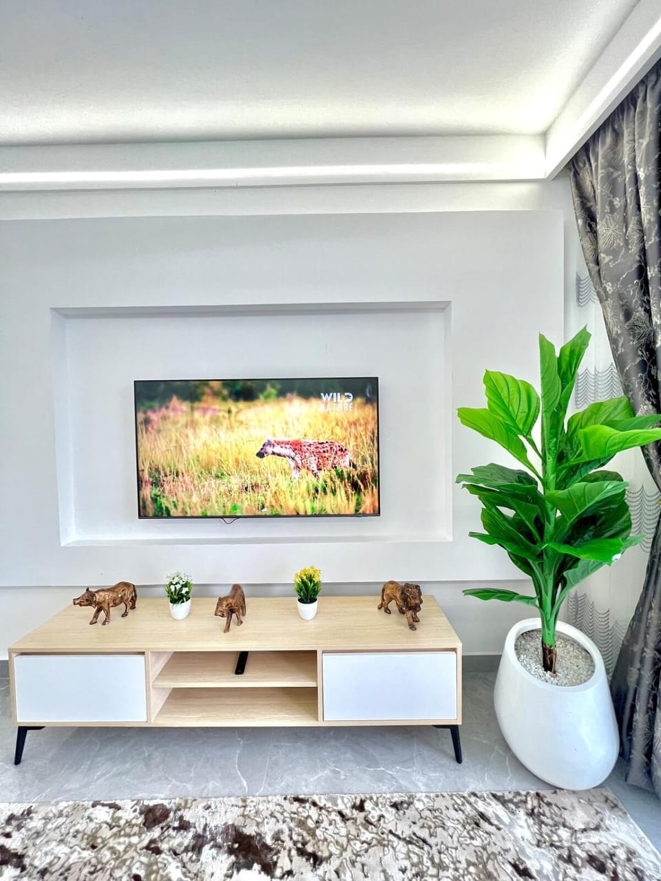 TV and multimedia, Decorative detail