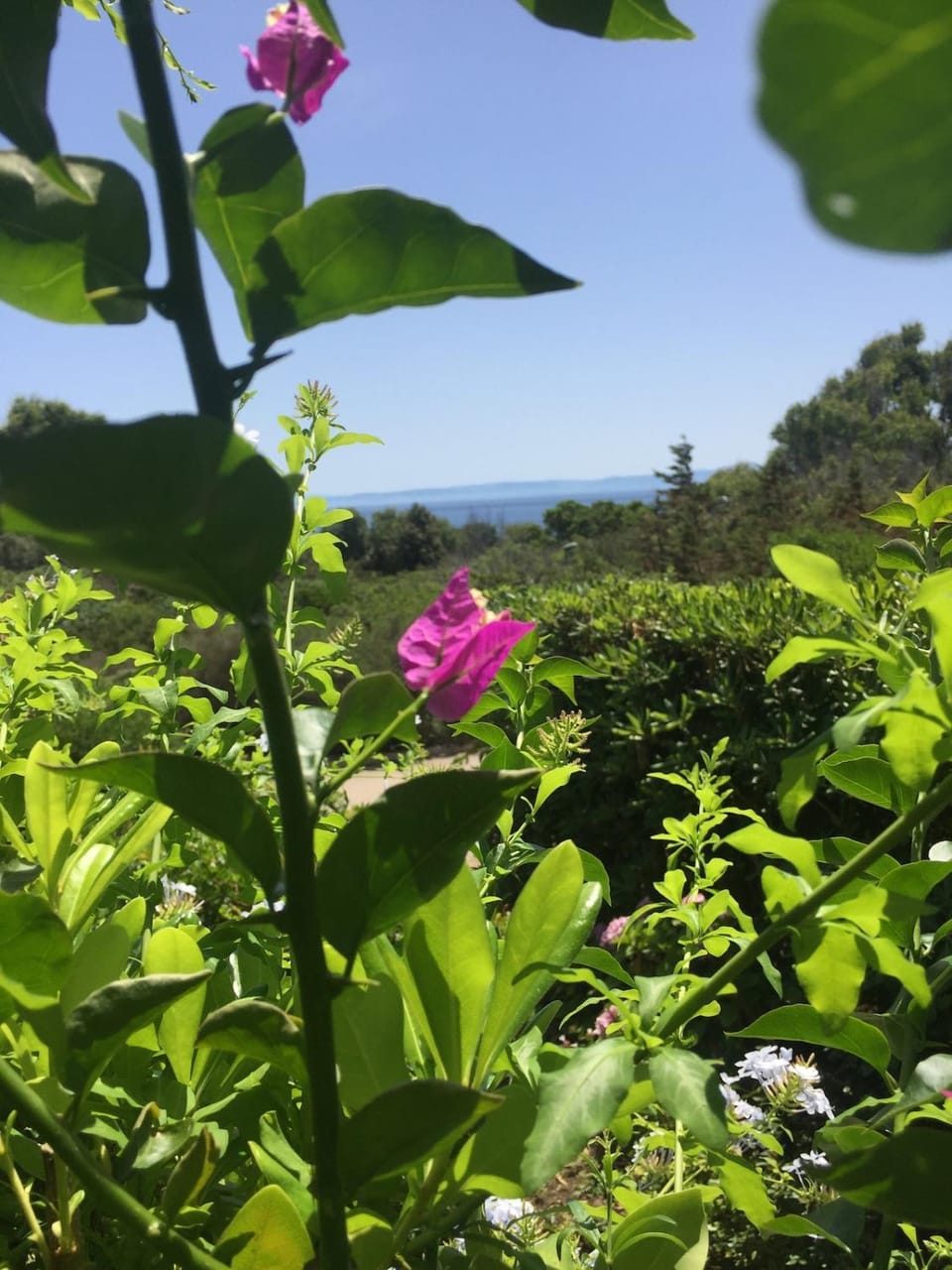 Natural landscape, Sea view