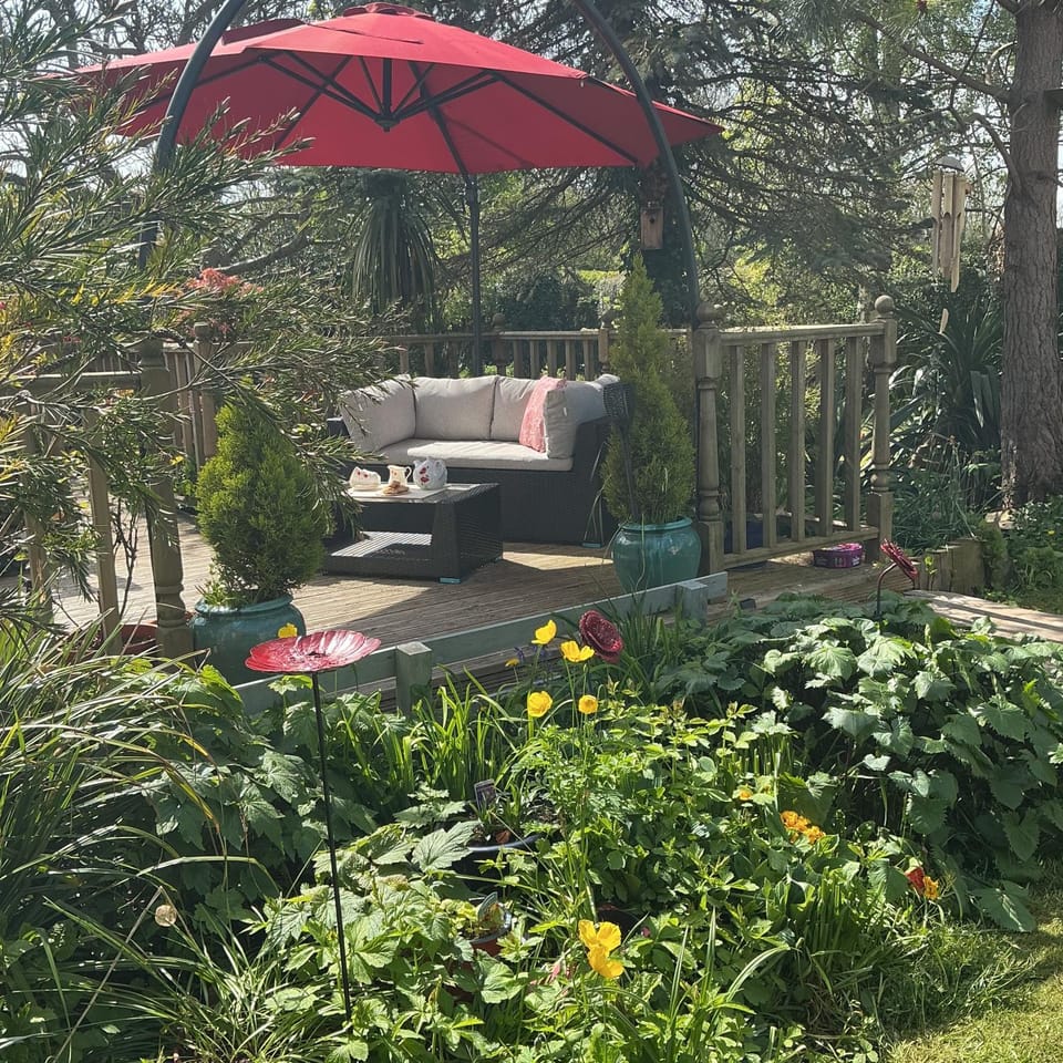 Garden view