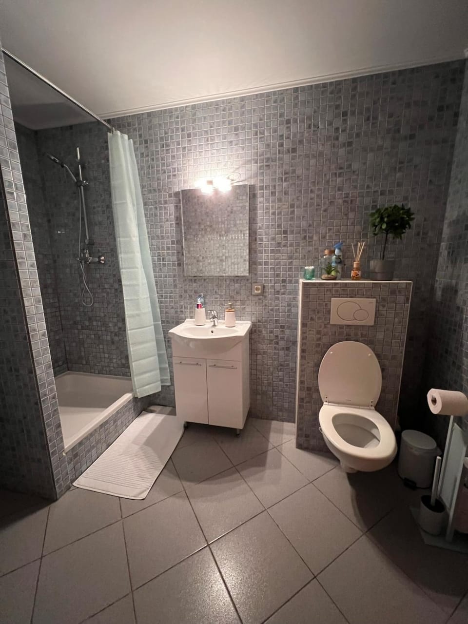 Shower, Toilet, Bathroom