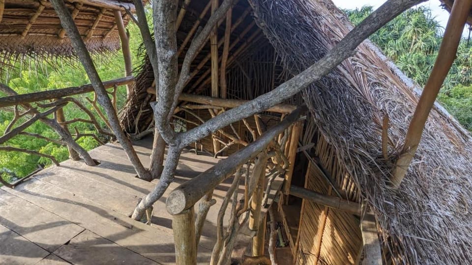 The Alpha monkey tree house Bed and Breakfast in Tangalle
