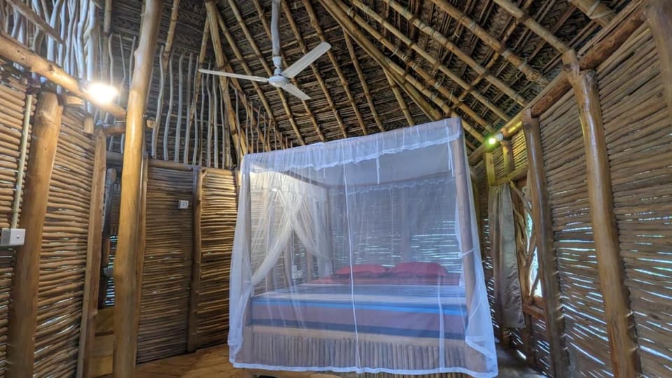 The Alpha monkey tree house Bed and Breakfast in Tangalle
