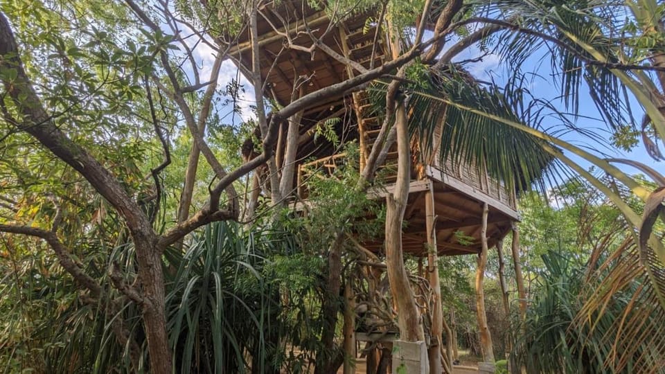 The Alpha monkey tree house Bed and Breakfast in Tangalle