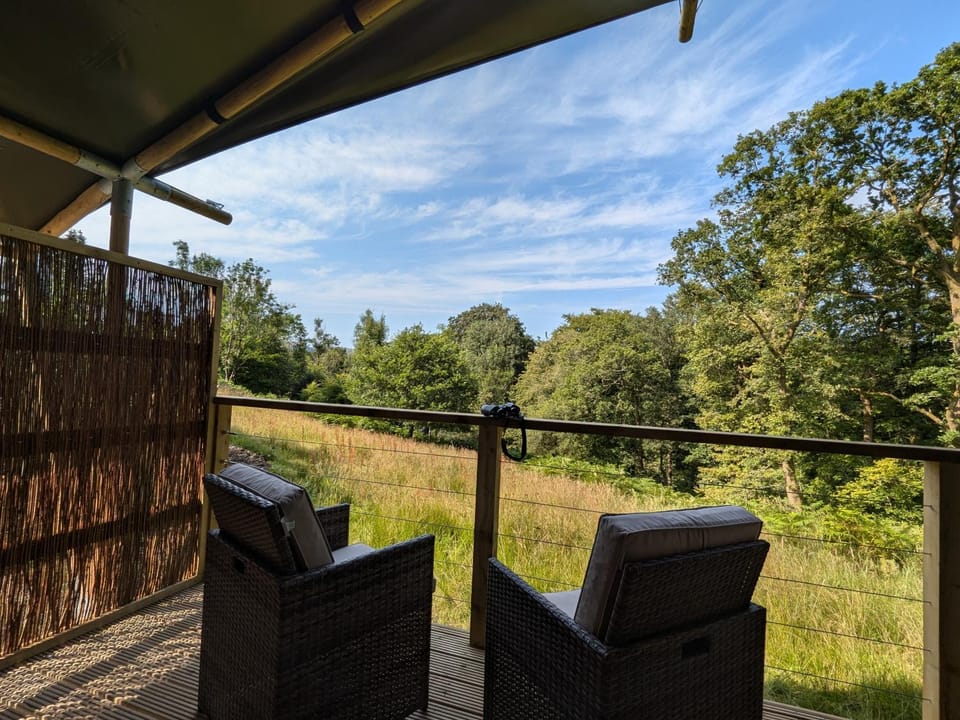 View (from property/room), Balcony/Terrace
