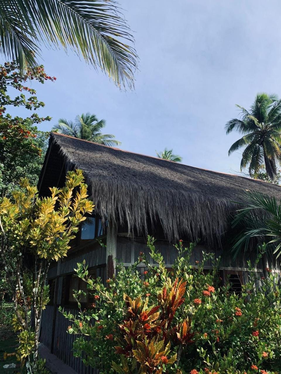 Casa Tassimirim Nature lodge in State of Bahia