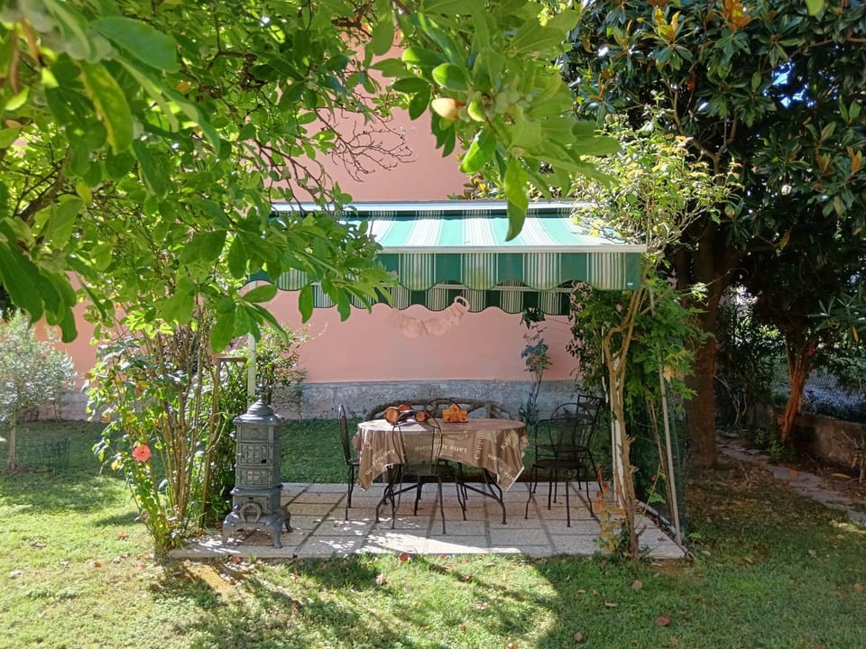 Property building, Garden, Garden view