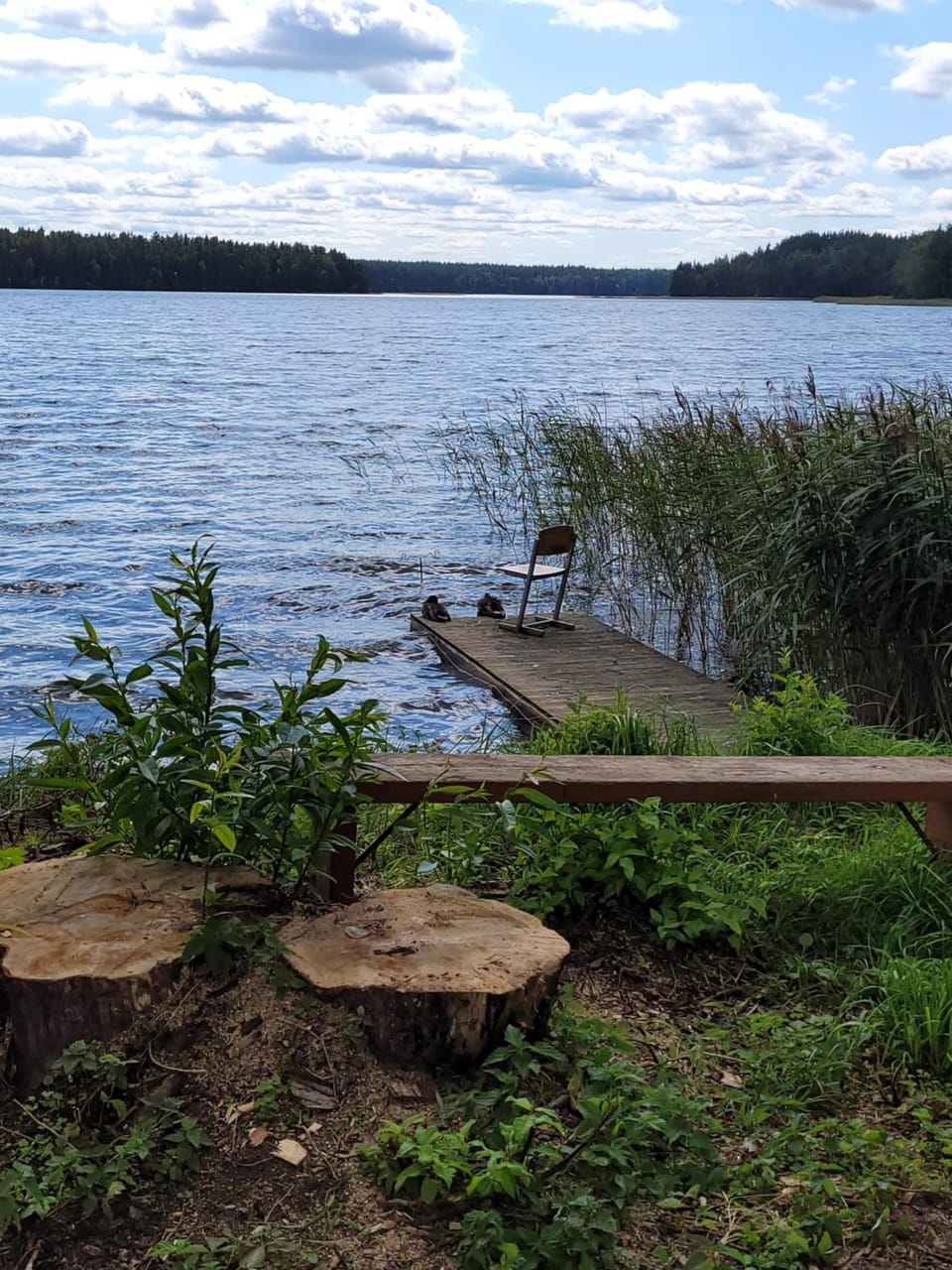 Natural landscape, Lake view