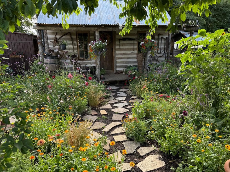 Property building, Day, Garden, Garden view