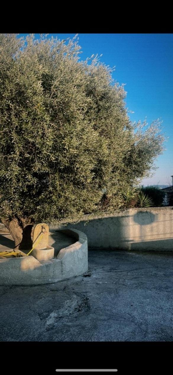 Villa Paul et Victoire Villa in Sanary-sur-Mer