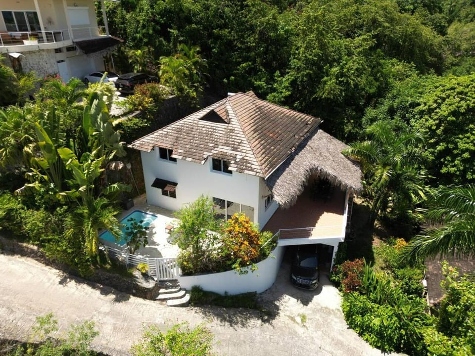 Property building, Day, Garden view, Swimming pool