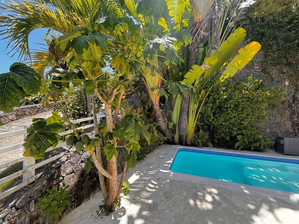 Garden, Garden view, Pool view, Swimming pool