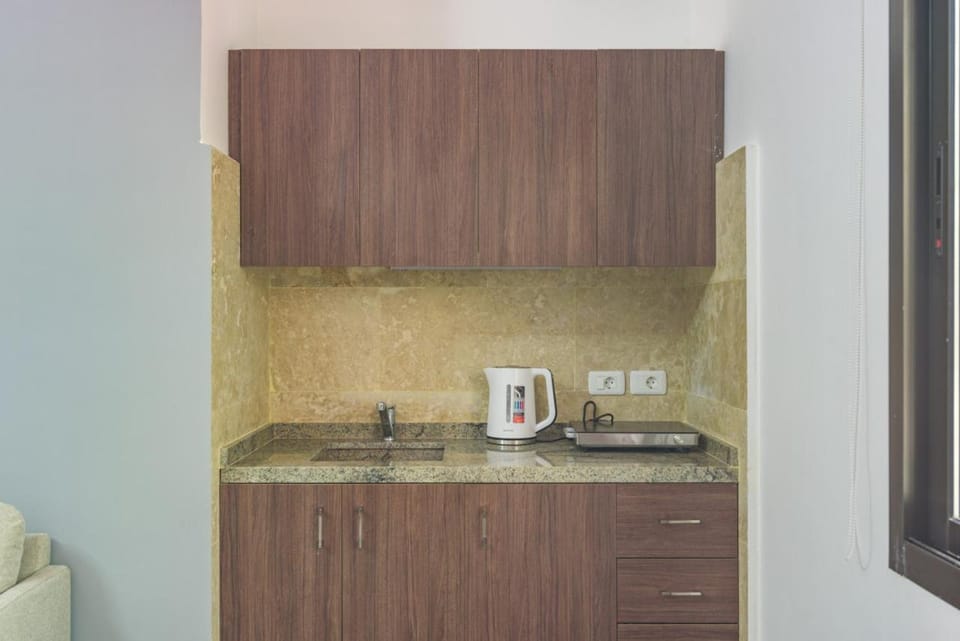 Coffee/tea facilities, Kitchen or kitchenette, minibar, stove