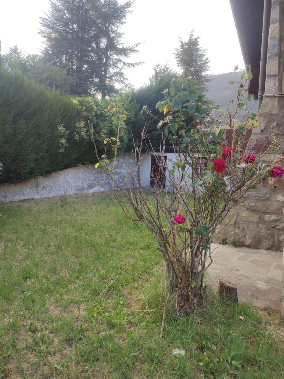 3p montagnard proche activité Apartment in Provence-Alpes-Côte d'Azur