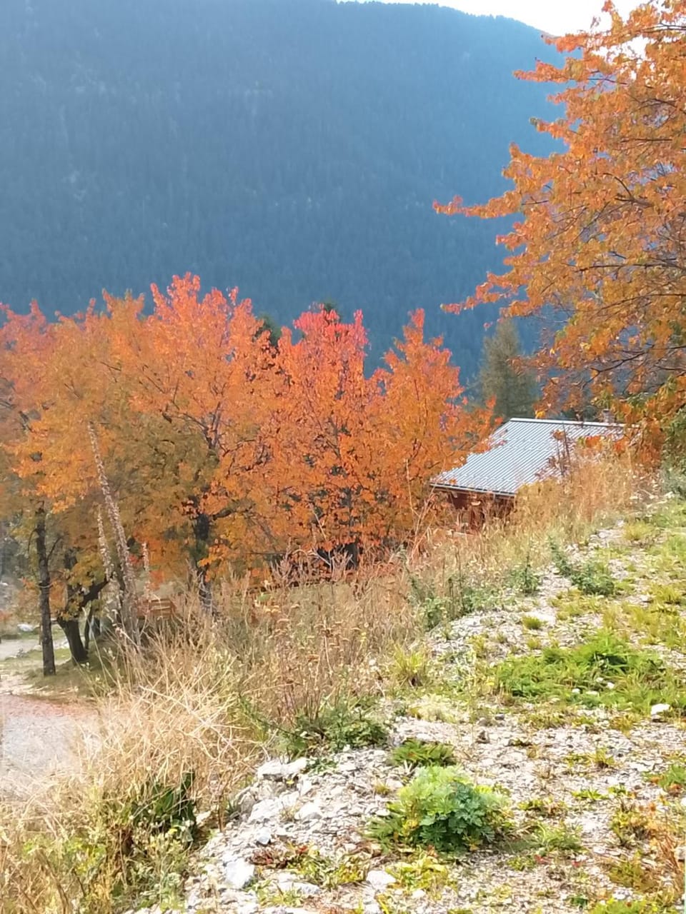 3p montagnard proche activité Apartment in Provence-Alpes-Côte d'Azur