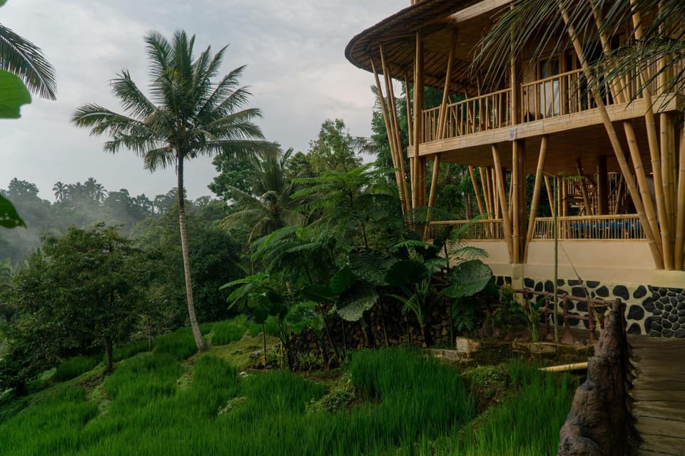 Property building, Day, Natural landscape