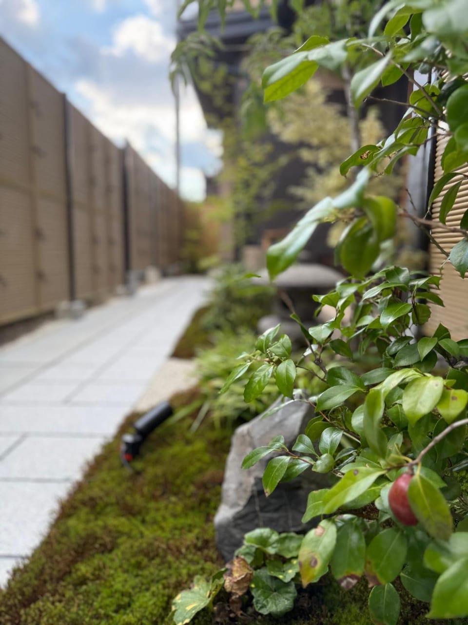 Garden view