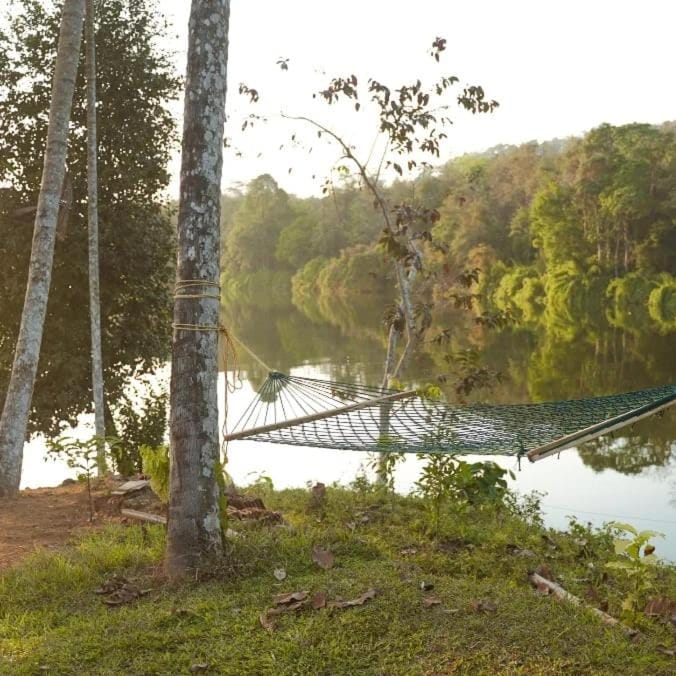 Nature's nest Farm Stay in Kerala
