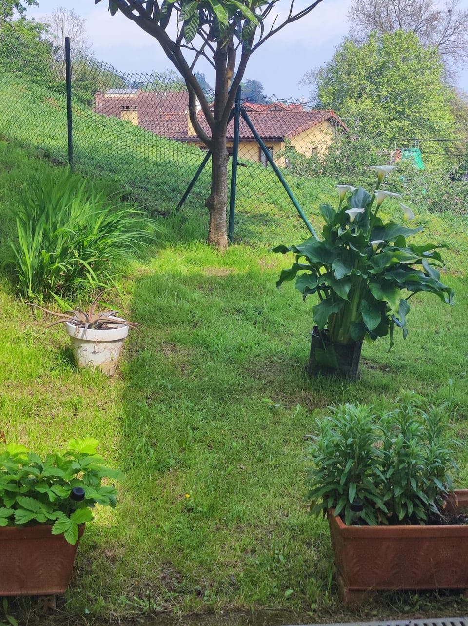 El jardín de Max, apartamento céntrico con jardín privado y parking Apartment in Western coast of Cantabria