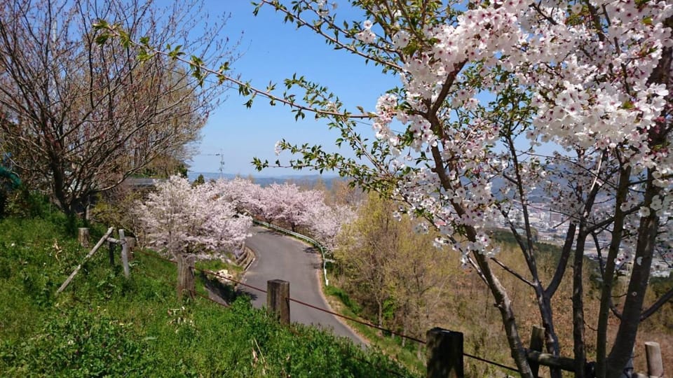 Joy House - Vacation STAY 17943v House in Japan