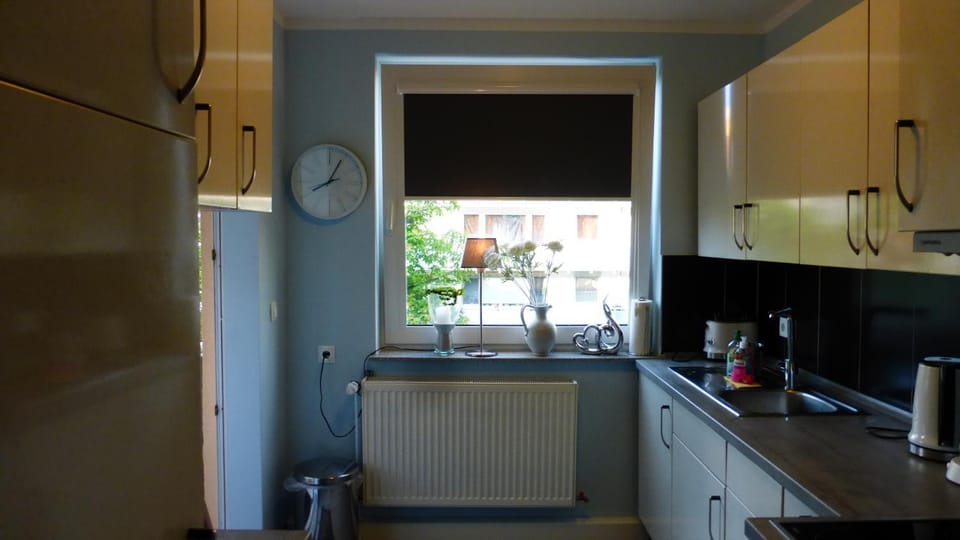 Kitchen or kitchenette, Communal kitchen, stove, kitchen