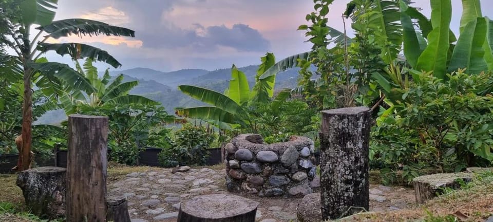 Nearby landmark, Natural landscape, Garden, Garden view, Mountain view