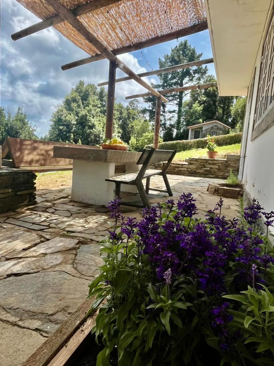 Patio, Dining area
