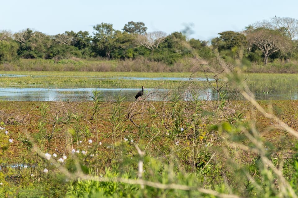 Natural landscape