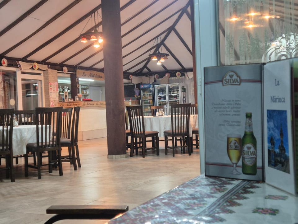 Pensiunea Stan Bed and Breakfast in Romania