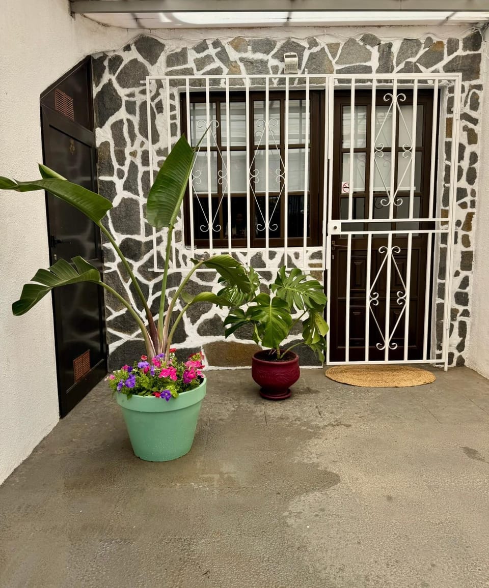 Property building, Facade/entrance, Garden view