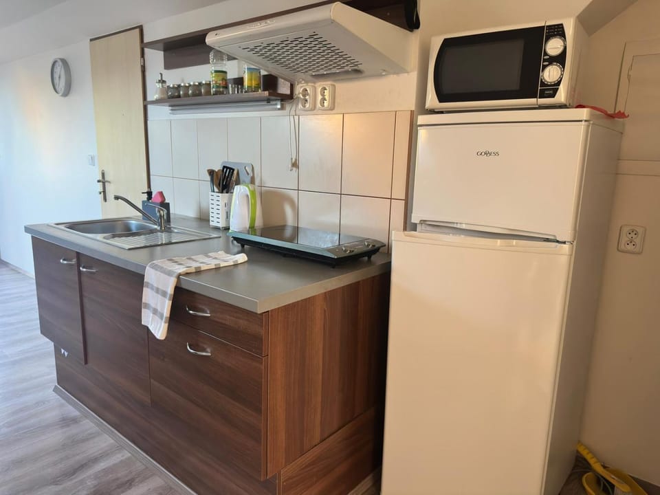 ubytování Na Hrázi Apartment in South Moravian Region