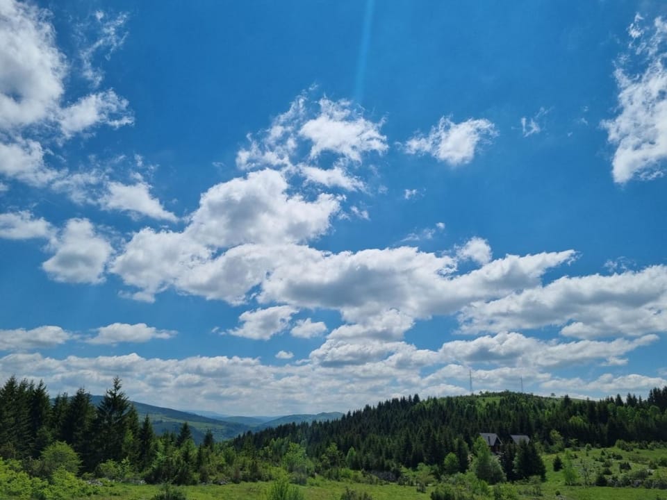 Spring, Day, Natural landscape