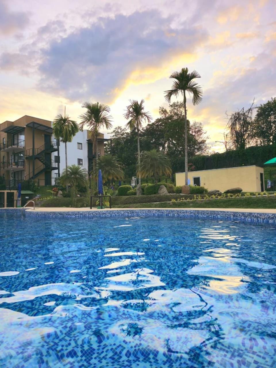 Swimming pool