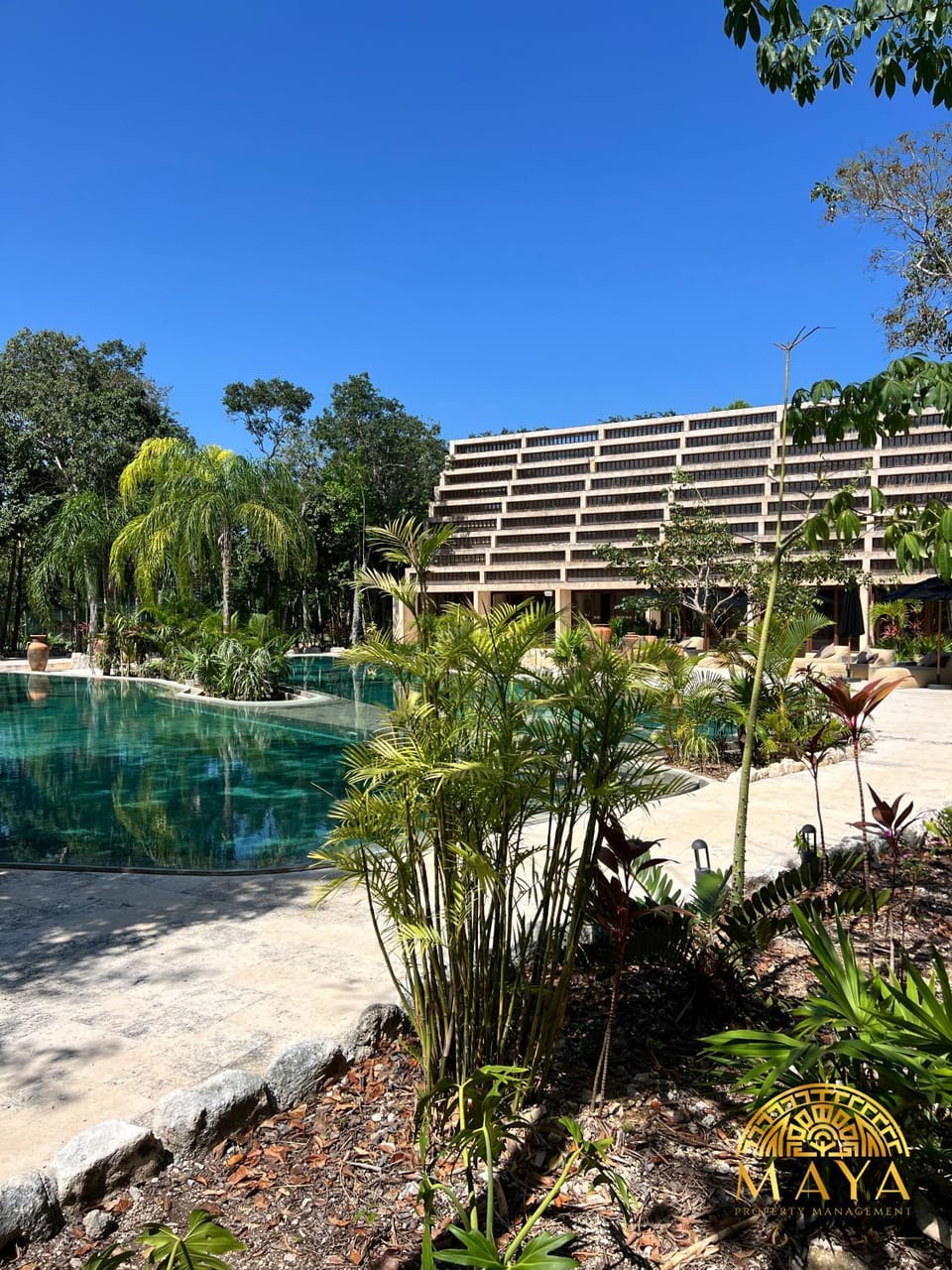 Natural landscape, Garden, Garden view, Pool view, Swimming pool
