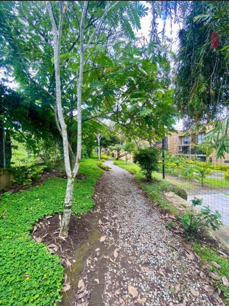 Reserva de la colina apartasoles Apartment in Quindio, Colombia