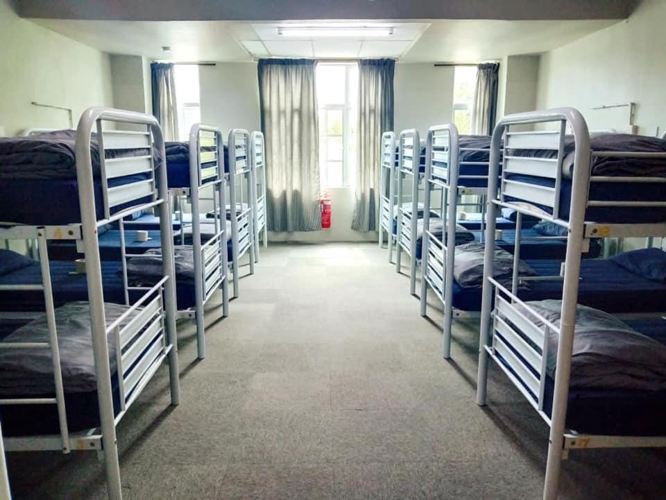 Bed, Photo of the whole room, Bedroom, bunk bed