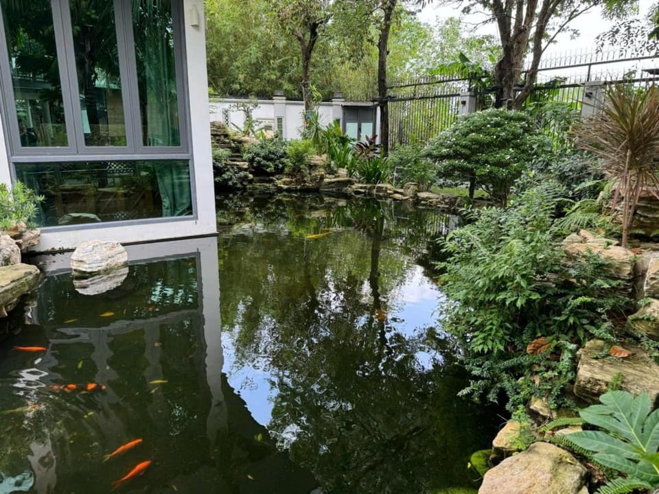 Lake view
