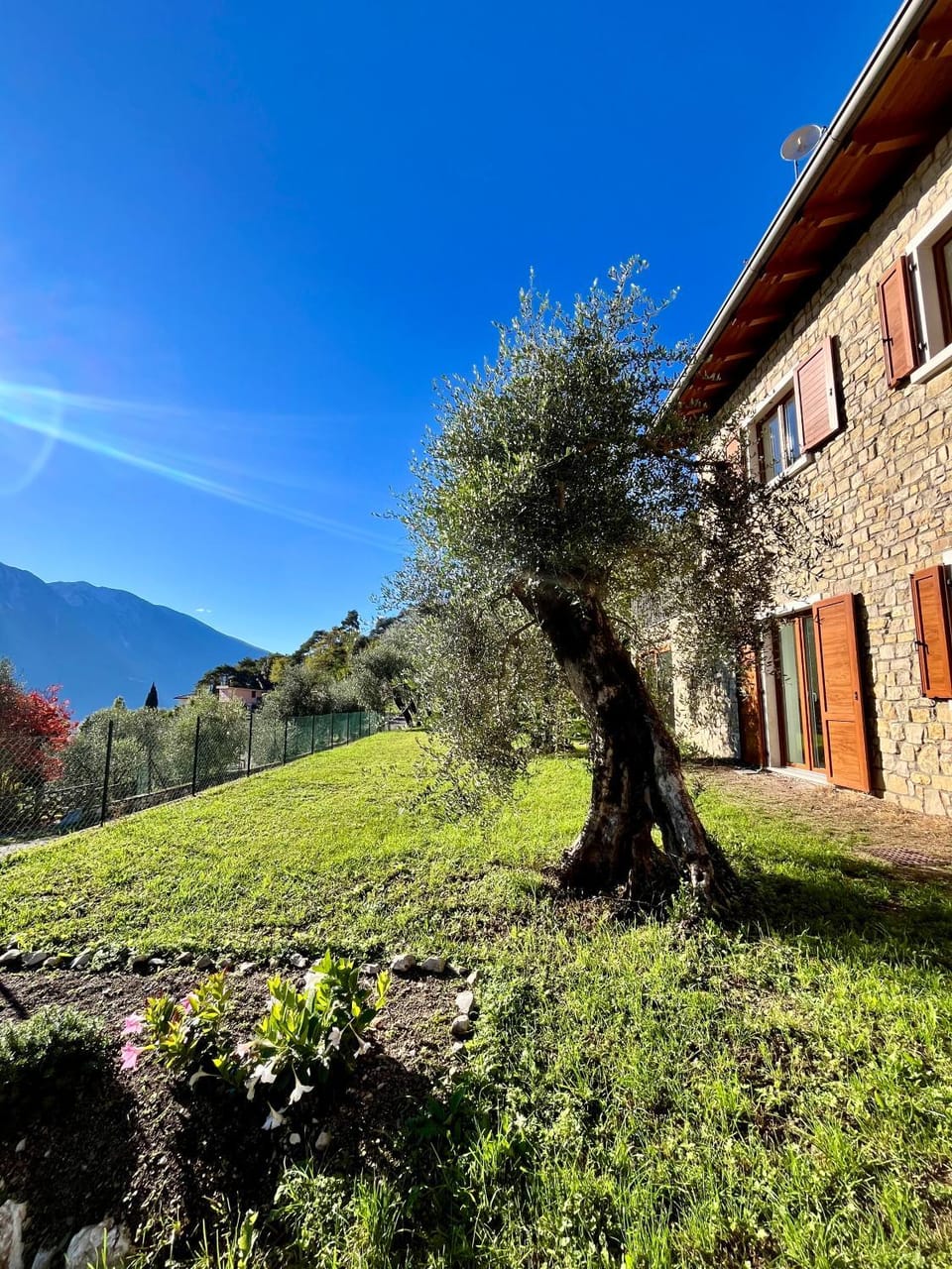 Property building, Garden, Garden view
