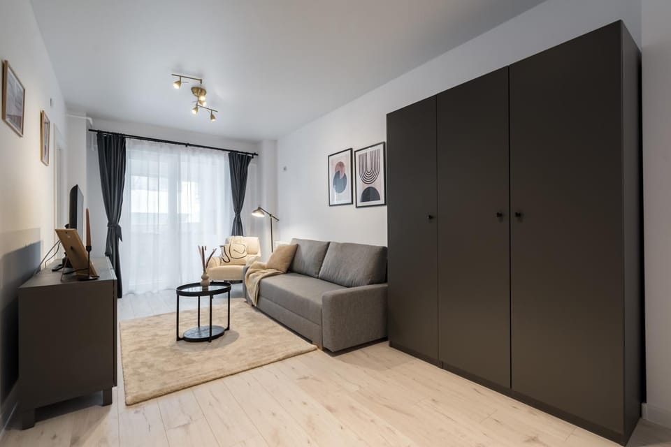 Living room, Photo of the whole room, Seating area, wardrobe