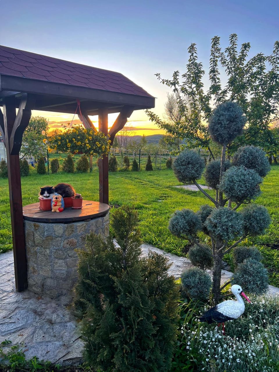 Natural landscape, Garden, Garden view