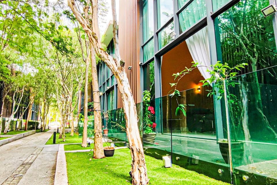 Day, Natural landscape, Garden, Garden view
