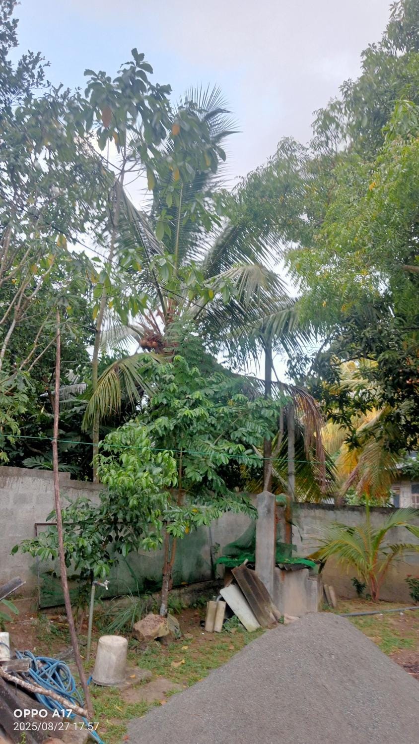 Deluxe homestay Villa in Ahangama