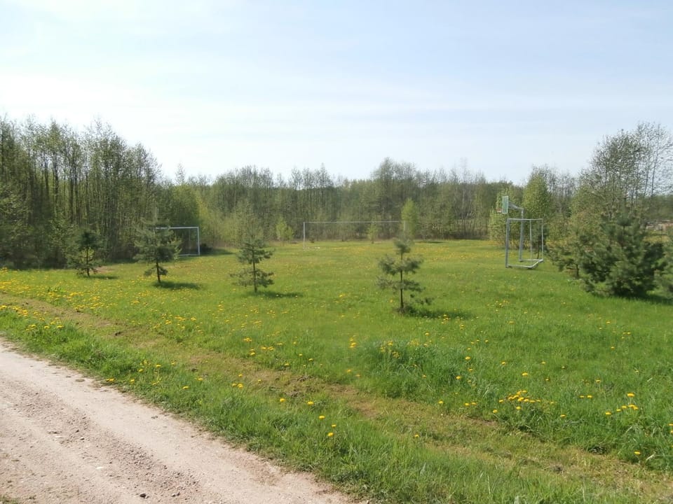 Property building, Activities