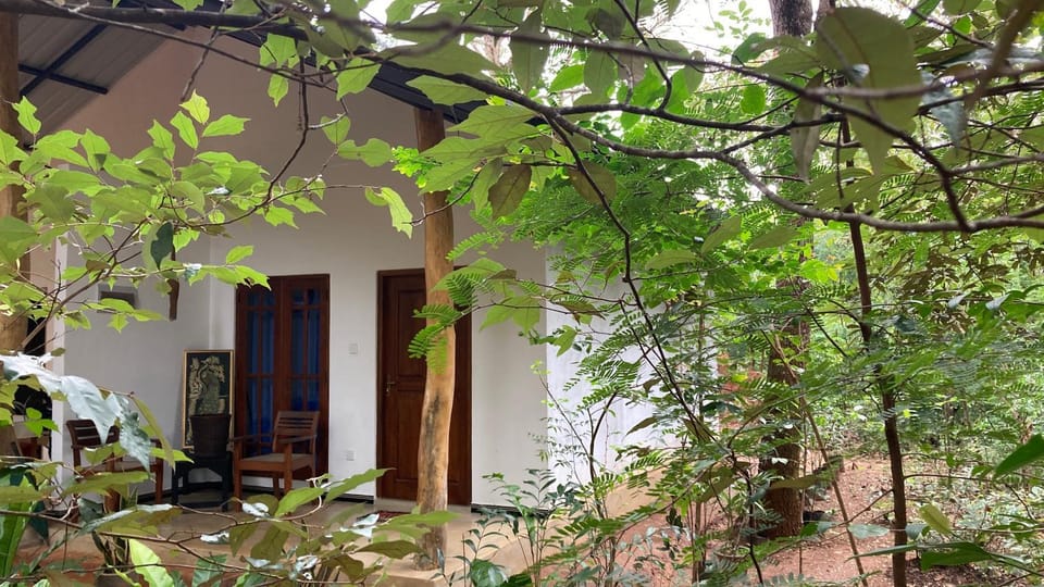 Property building, Garden
