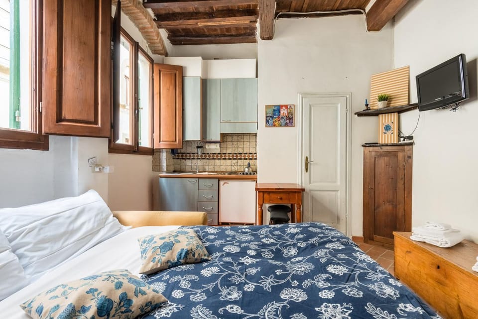 Central and comfortable studio in Florence Apartment in Florence