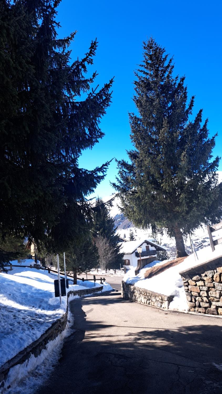 Day, Natural landscape, Winter, Mountain view, Breakfast