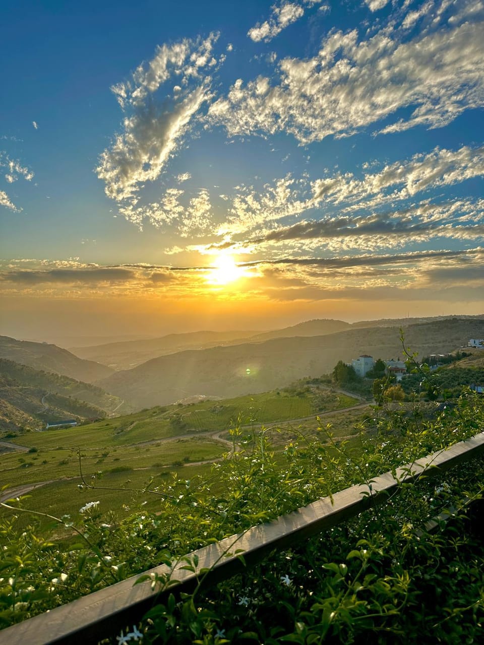 Natural landscape, Garden, Mountain view, Sunset
