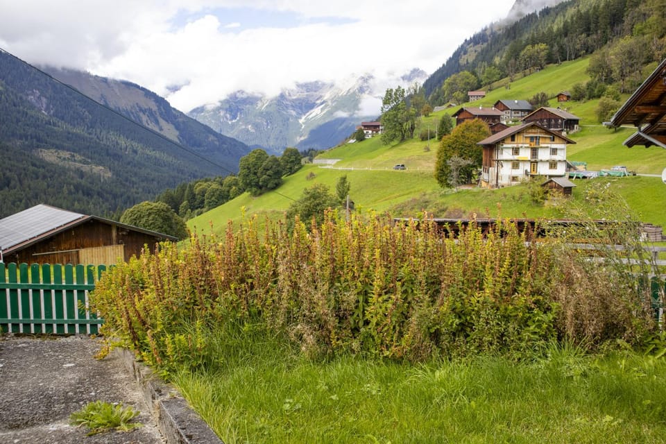 View (from property/room)