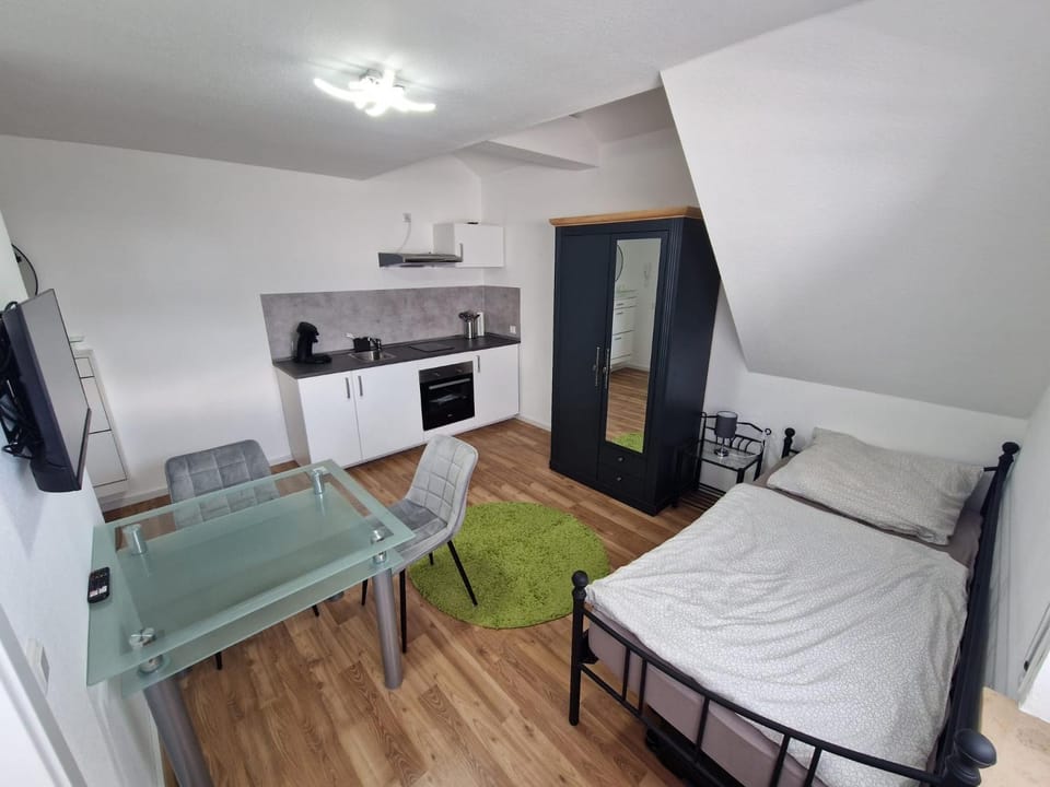 Bed, TV and multimedia, Kitchen or kitchenette, Photo of the whole room, Dining area, oven, stove
