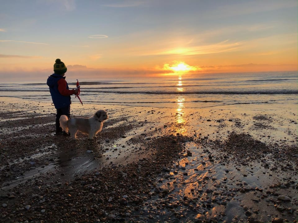 Day, People, Natural landscape, Beach, Pets, Sea view, Sunrise, Sunset, children
