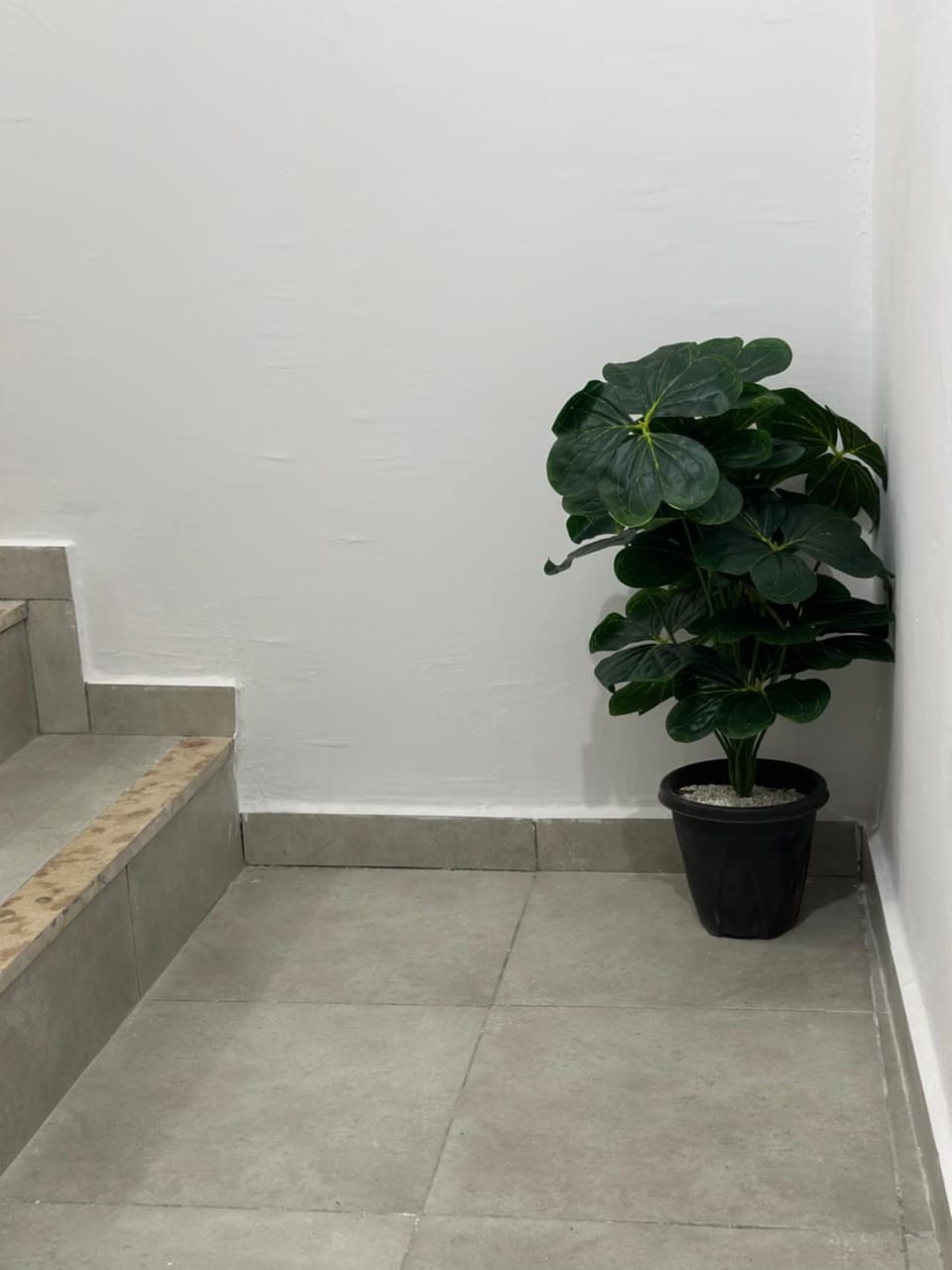 Nid douillet en duplex Apartment in Tangier